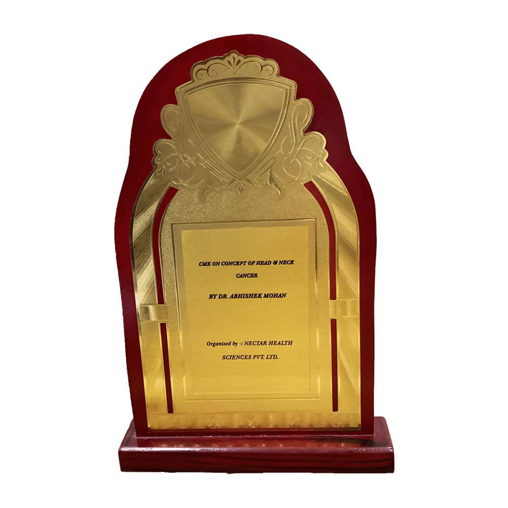 Dr. Abhishek Mohan Award 3